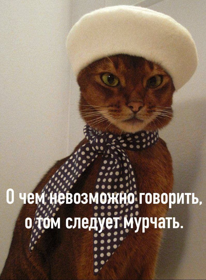 0 чем невозможно говорить, о том следует мурчать.