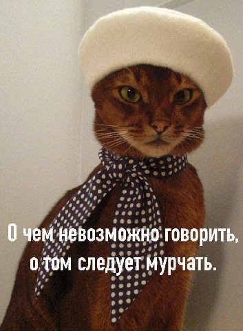 0 чем невозможно говорить, о том следует мурчать.