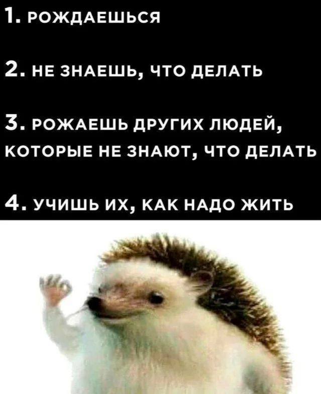 1. РОЖДАЕШЬСЯ 2. НЕ ЗНАЕШЬ, ЧТО ДЕЛАТЬ 3. РОЖАЕШЬ ДРУГИХ ЛЮДЕЙ, КОТОРЫЕ НЕ ЗНАЮТ, ЧТО ДЕЛАТЬ 4. УЧИШЬ КАК НАДО ЖИТЬ А