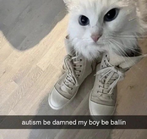 autism be damned my boy be ballin