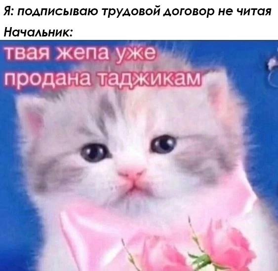 Я: подписываю трудовой договор не читая Начальник: твая жепа продана таджикам 7