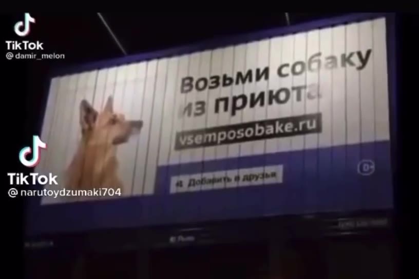 @ damir_meion . етрозоБакена @ narutoydzumaki704 | полет р Замикс) ¢ pe KoHOM my