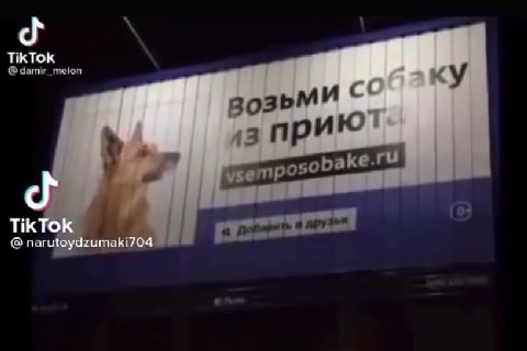 @ damir_meion . етрозоБакена @ narutoydzumaki704 | полет р Замикс) ¢ pe KoHOM my