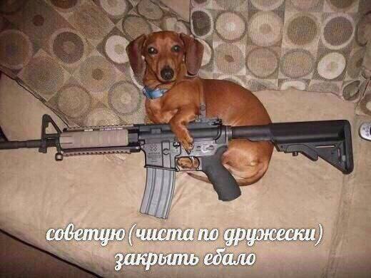 (чиста по дружески) ебало