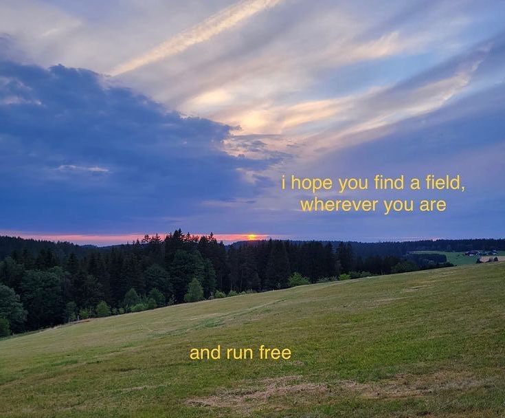 i hope you find а field, wherever you are апа гип Нее