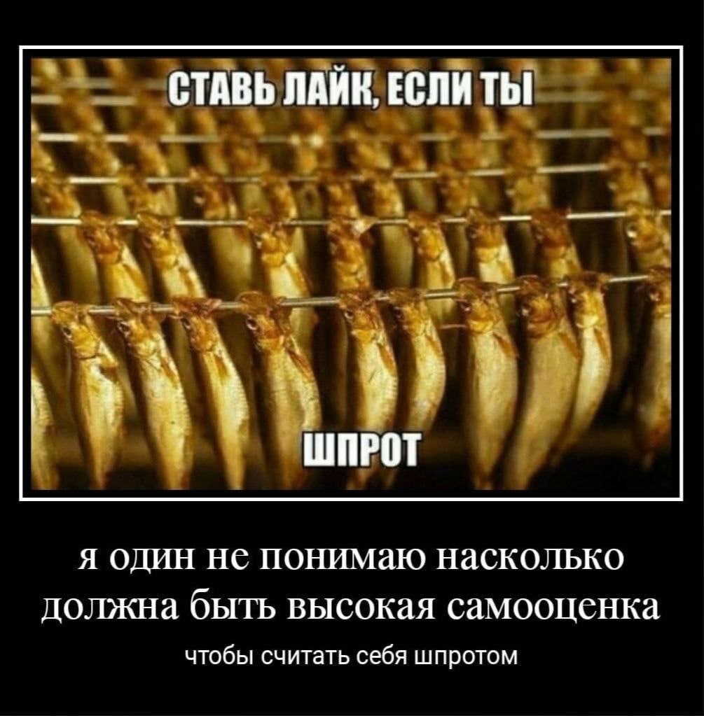 СТАВЬ ЛАИК, ЕСЛИ Thi к ШПРОТ Я ОДИН He ПОНИМаю ‚Насколько должна быть высокая самооценка чтобы считать себя шпротом