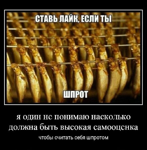 СТАВЬ ЛАИК, ЕСЛИ Thi к ШПРОТ Я ОДИН He ПОНИМаю ‚Насколько должна быть высокая самооценка чтобы считать себя шпротом