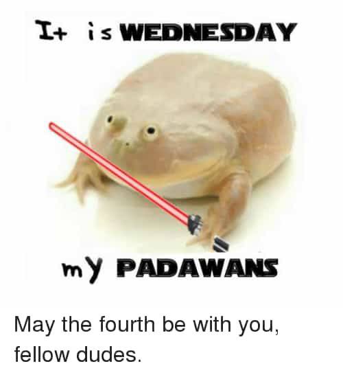 is WEDNESDAY PADAWANS May the fourth be with you, fellow dudes.