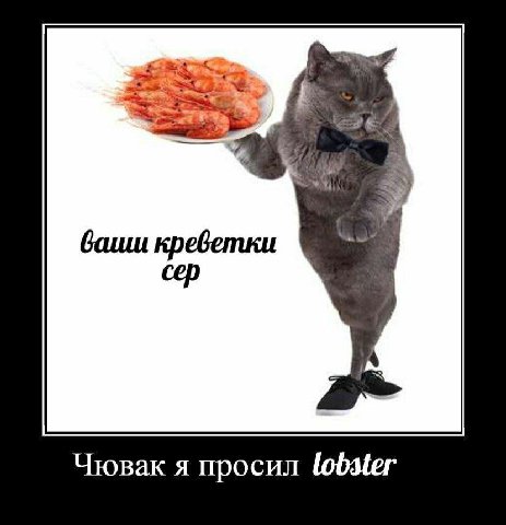ваиш креветки Чювак я просил lobster