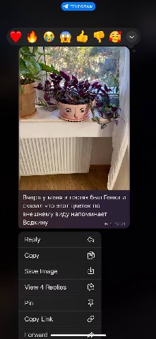 деанон