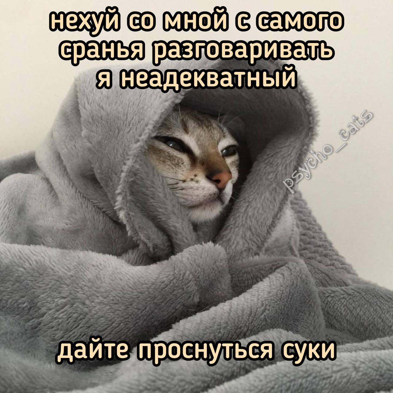 сраньядразговаривать неадекватный дайте проснуться суки