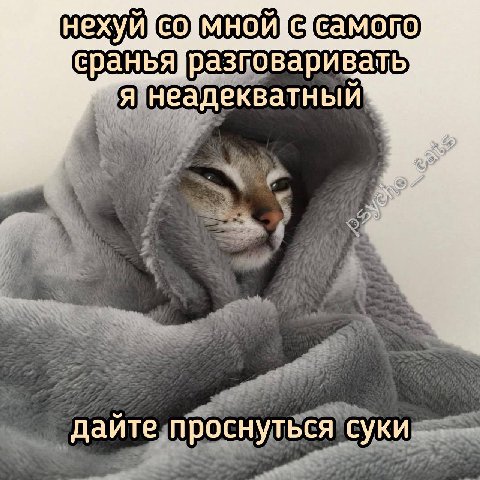 сраньядразговаривать неадекватный дайте проснуться суки