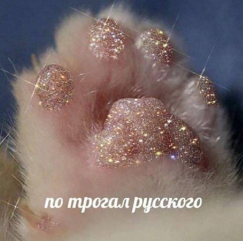 ate по трогал русского