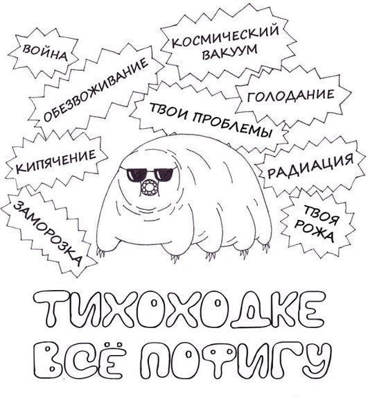 у НИЕ