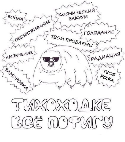 у НИЕ