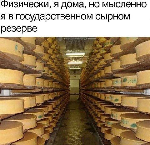 Физически, я дома, но мысленно я в государственном сырном резерве