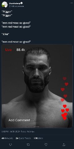 Shanikaberg @1488 агуапгаре "Nigger" "Nigger" redmeat so good" redmeat so good" и redmeat so good" Adc 5 THAR 8:42 Jul 21, 2023 Twitter Web App 46 Retweets 24 Quote Tweets Likes о