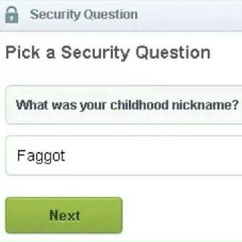Security Question Pick a Security Question What was your childhood nickname? Faggot