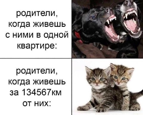 родители, когда живешь С НИМИ В ОДНОЙ квартире: родители, когда живешь за НИХ: