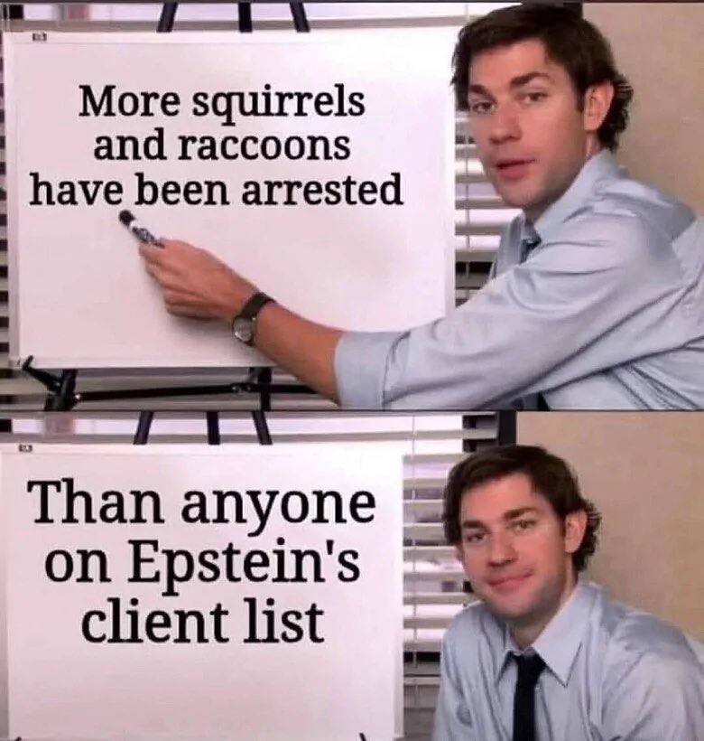 More squirrels and raccoons have been arrested Than Epstein's client list