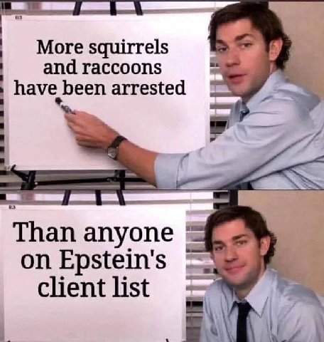 More squirrels and raccoons have been arrested Than Epstein's client list