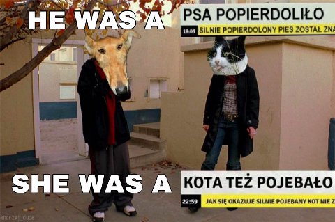 НЕ RDOLILO SHE WAS A КОТА РОЛЕВАЁО ЗАКЗЩ PQUEBAMY КОТ