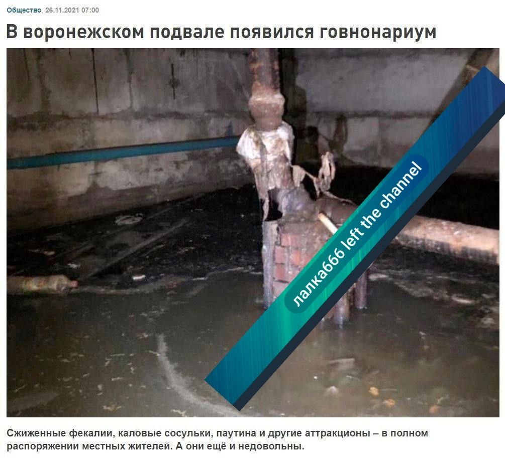 Лалка666 хотел отстроить Капитолий, а попал на экскурсию в Воронеж