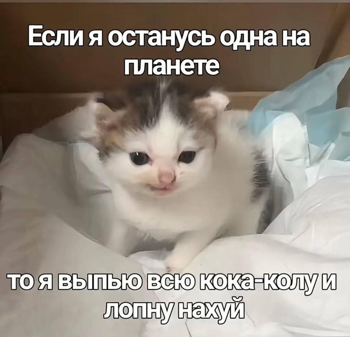 Если я останусь одна на планете 6 TO Я ВЫПЬЮ`ВЕЮ KOKas