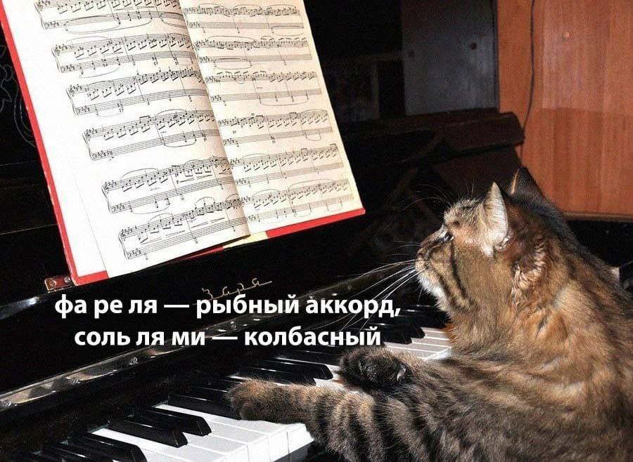 1A рыбный аккорд, соль колбасный