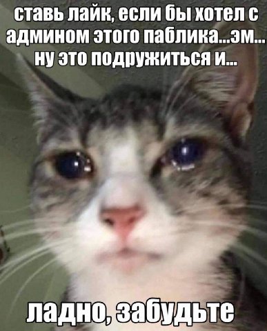 ставь лайк, если бы хотел с админом этого паблика...эм. это подружиться и... ладно забудьте