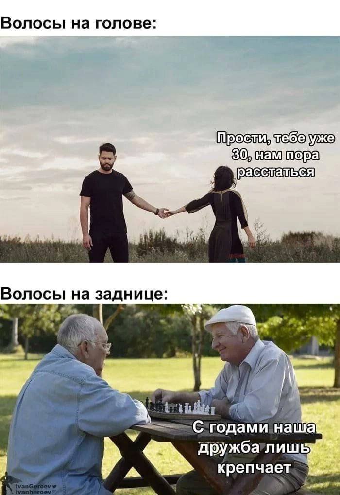 Волосы на голове: пора Волосы на заднице: наша дружба’лишь 4 крепчает