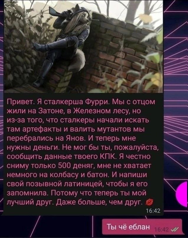 4) “у 3% Привет. Я сталкерша Фурри. Мы с отцом жили на Затоне, в Железном лесу, но из-за того, что сталкеры начали искать там артефакты и валить мутантов мы перебрались на Янов. И теперь мне нужны ден