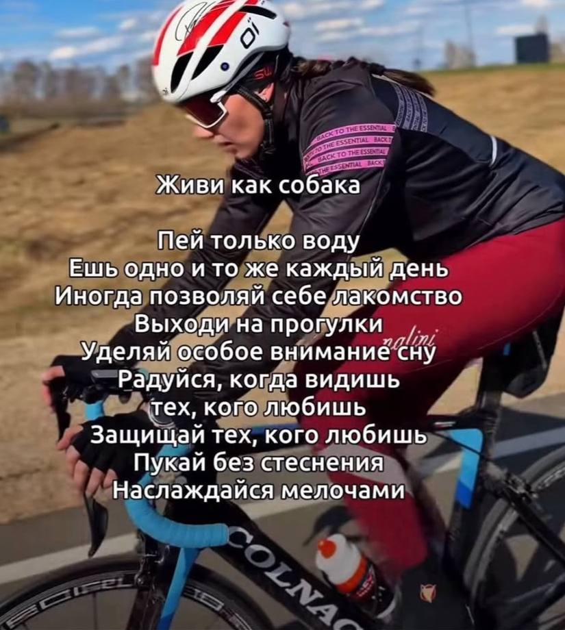 Живи как собака Пей только воду Ешь одно и то же каждый день Иногда позволяй себе лакомство Выходи на прогулки Уделяй особое внимание сну Радуйся, когда видишь тех, кого любишь Защищай тех, кого любиш