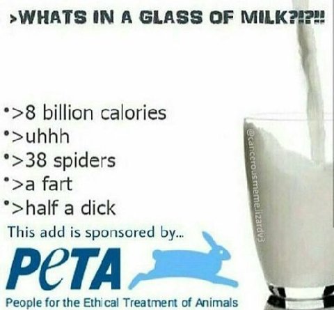 >WHATS IN А GLASS OF MILK *>8 billion calories *>uhhh *>38 spiders *>a fart *>half a dick This add is sponsored PCTA People for the Ethical Treatment of Animals