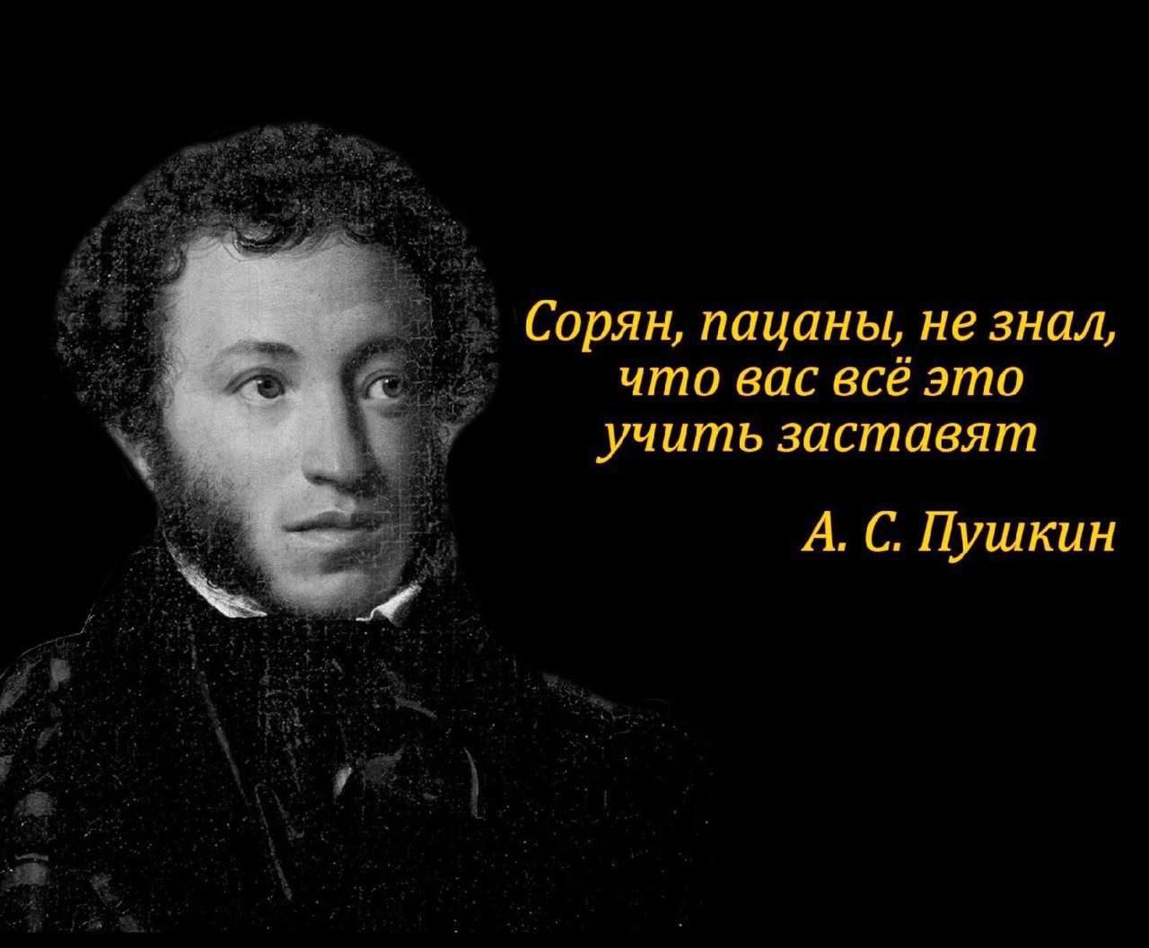 Сорян, пацаны, не знал, что вас всё это учить заставят А. С. Пушкин
