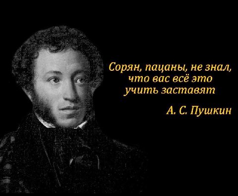 Сорян, пацаны, не знал, что вас всё это учить заставят А. С. Пушкин