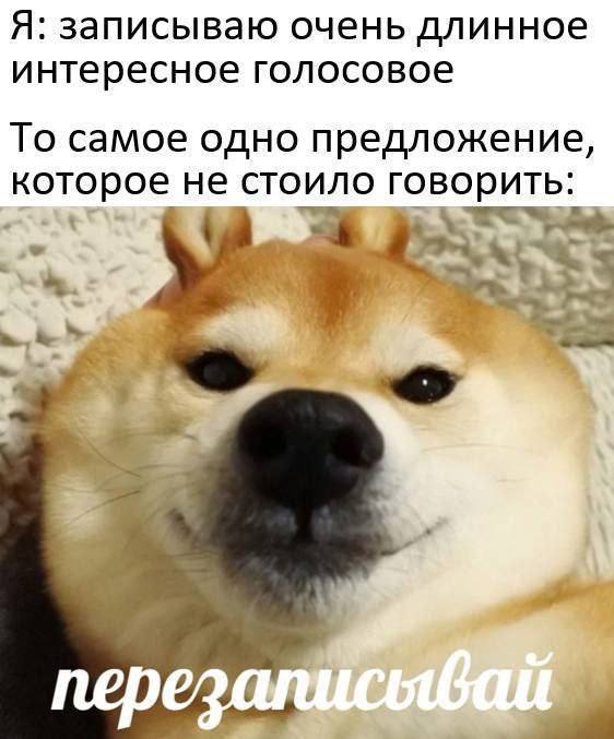 Я: записываю очень длинное интересное голосовое То самое одно предложение, которое не стоило говорить. 2" =a nepezan 4