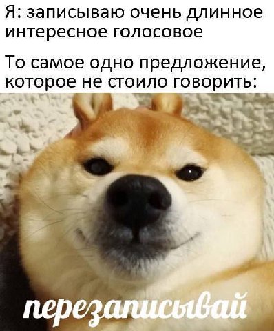 Я: записываю очень длинное интересное голосовое То самое одно предложение, которое не стоило говорить. 2" =a nepezan 4