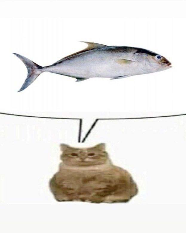 ‘iinanaetl same