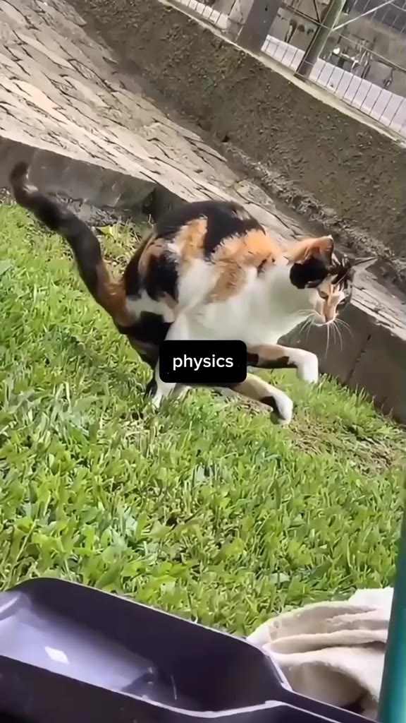 if 1 physics 4 4