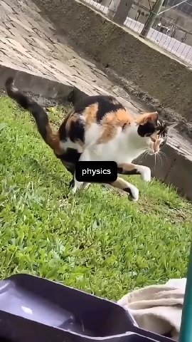 if 1 physics 4 4