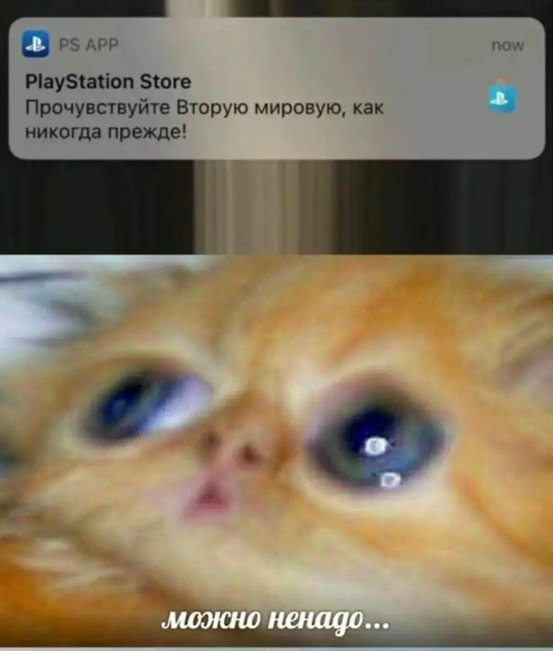 app now PlayStation Store Прочувствуйте Вторую мировую, как никогда прежде! ВОК