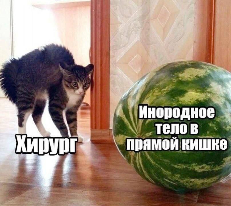 тело в прямой кишке