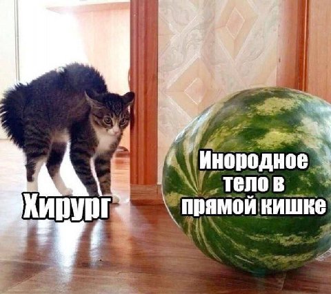 тело в прямой кишке