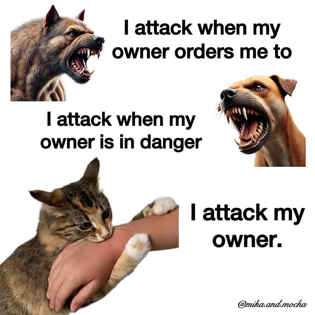 attack when my owner orders me to I attack when my owner is in danger attack my owner. 7