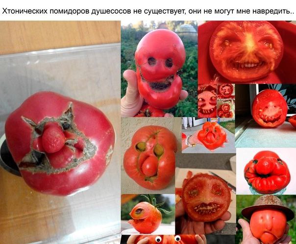 Хтонических помидоров душесосов не существует, они не могут мне навредить..