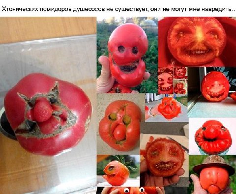 Хтонических помидоров душесосов не существует, они не могут мне навредить..
