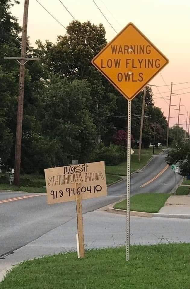 WARNING 2. LOW FLYING OWLS 57 В У. 7 413 a]