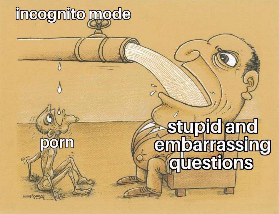 incognito mode stupid and porn questions