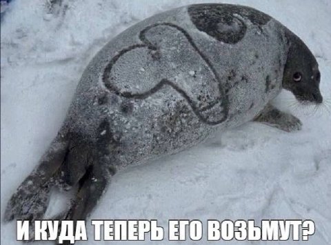 И КУДА ТЕПЕРЬ ЕГО
